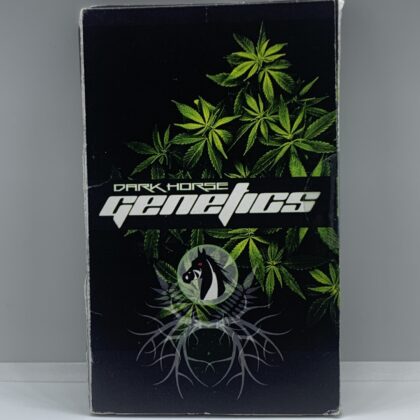 Dark Horse Genetics - Super Sluty Hayes {REG} [?pk]