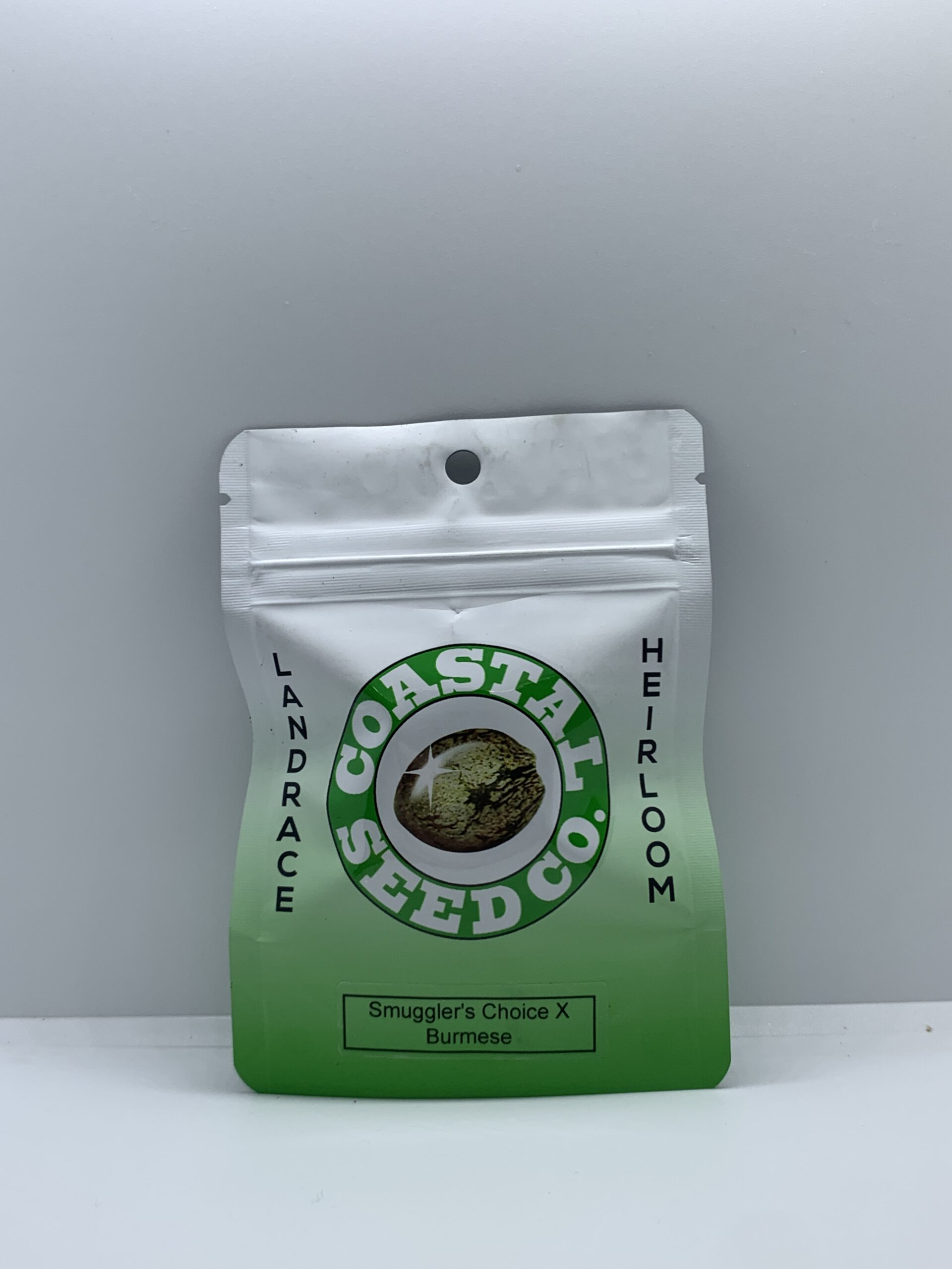 Coastal Seed Co – Smuggler’s Choice x Burmese