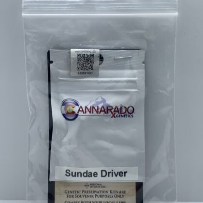 Cannarado Genetics - Sundae Driver {REG} [10pk]