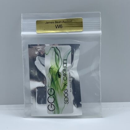 Golden Coast - SDOG X C4GHANI {REG} [10pk]