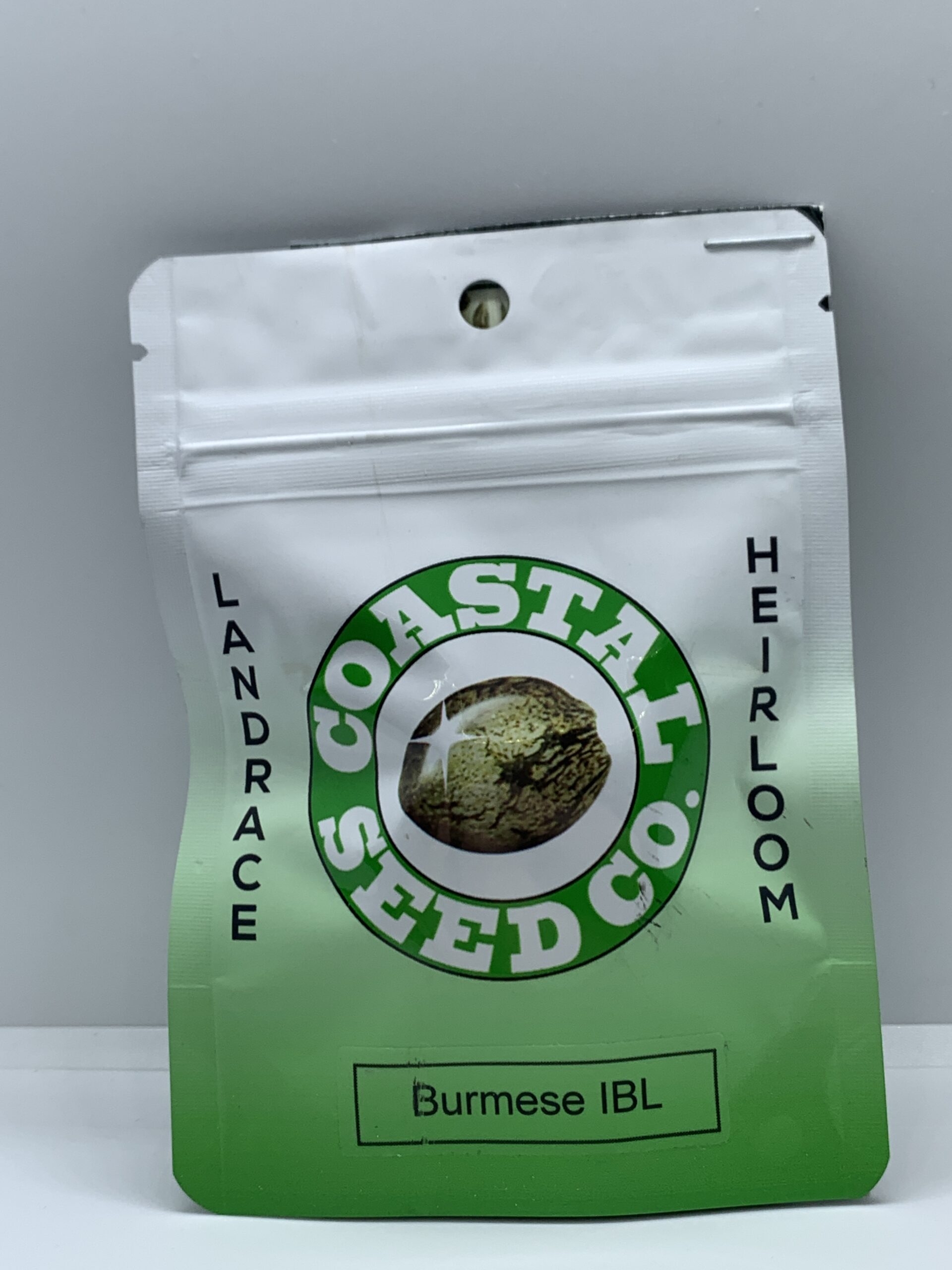 Coastal Seed Co – Burmese IBL {REG}