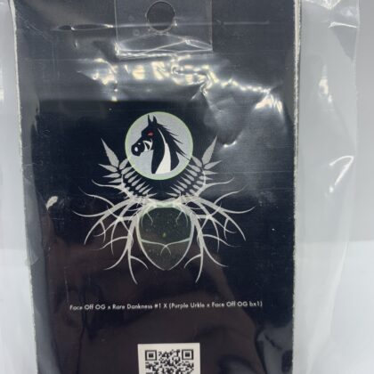 Dark Horse Genetics - Face Melt {REG} [pk]