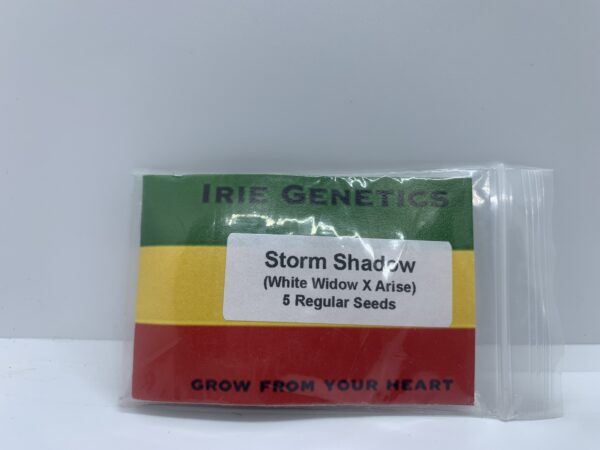 Irie Genetics – Storm Shadow {REG} [5pk]