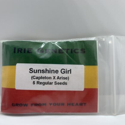 Irie Genetics - Sunshine Girl {REG} [5pk]