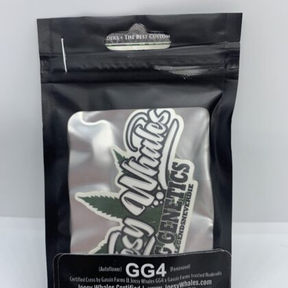 Joesy Whales - GG4 Auto {AUTOFEM} [6pk]