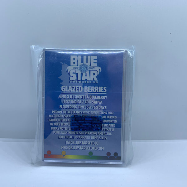 Lot #973 Blue Star Seed Company  (GMO x Dj Short Blueberry) [] [pk] - Image 2
