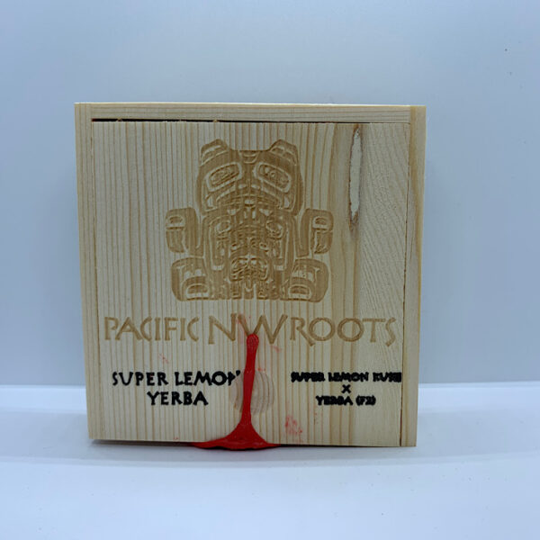 Lot #975 PNW Roots Super Lemon Yerba (Super Lemon Kush x Yerba F2) [] [pk]