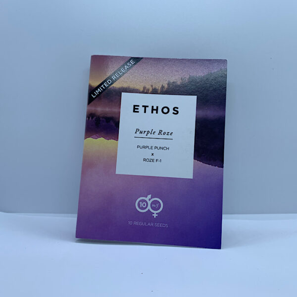 Lot #979 Ethos  Purple Roze (Purple Punch x Roze F-1) [reg] [10pk] - Image 2