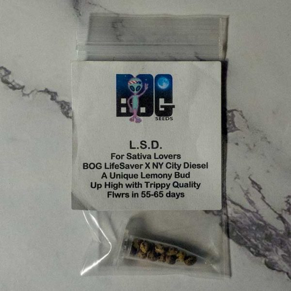 Lot #98 BOG L.S.D. (NY City Diesel x BOG LifeSaver) [REG] [13pk]