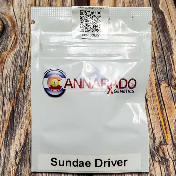 Lot #172 Cannarado Sundae Driver (FPOG x Grape Pie BX) [Reg] [10pk]