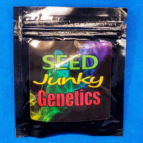 Lot #184 Seed Junky Sunset Sherbert bx1 [Reg] [10pk] - Image 2