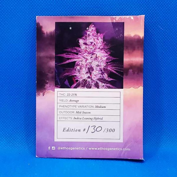 Lot #200 Ethos Purple Roze (Purple Punch X Roze F1) [Reg] [10pk] - Image 2
