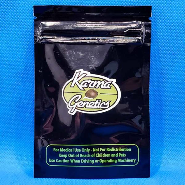 Lot #204 Karma Sweet Jack Haze ((Sweet Jack Haze x Jack #22) x White A5 Haze) [Reg] [12pk]