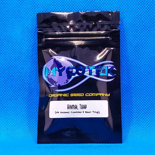 Lot #205 Mycotek Animal Trap (09 Animal Cookies x Bear Trap)