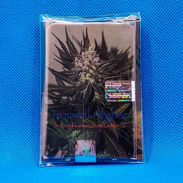 Lot #207 Second Generation Tropical Afghan (Sacajawea x F-13) [REG] [13pk] - Image 2