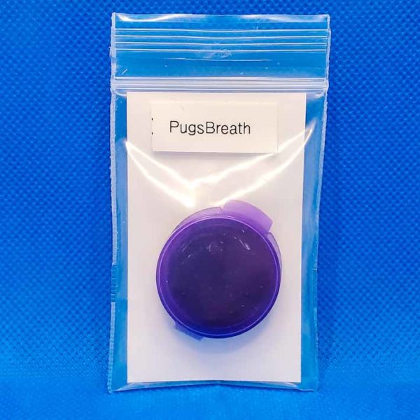 Lot #210 Thug Pug Pugs Breath (U.V. Mendobreath F2 x Mendobreath F2) [REG] [10pk] - Image 2