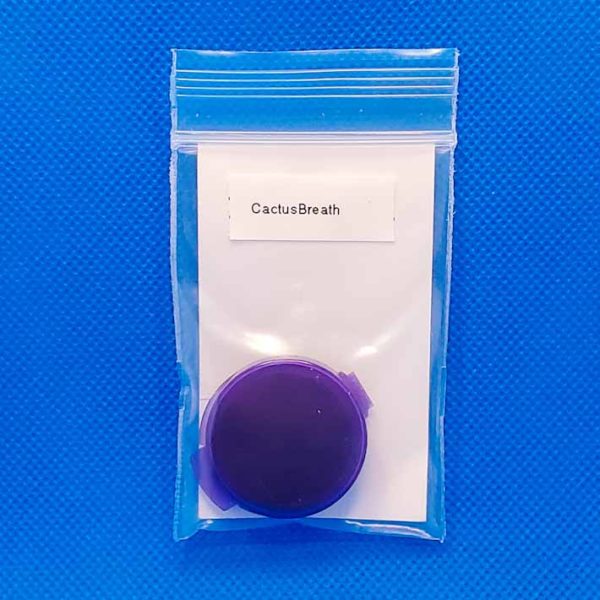 Lot #230 Thug Pug Cactus Breath (Cactus x Mendo Breath F2) [Reg] [10pk] - Image 2