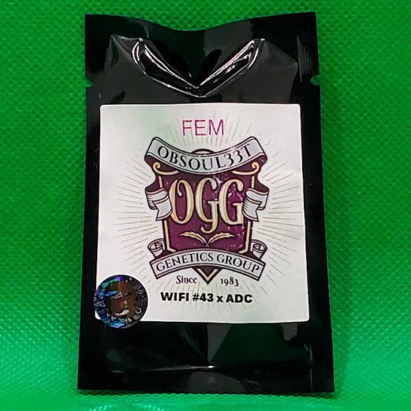 Lot #269 Obsoul33t Wifi 43 x Aliendog Cherry (Wifi 43 x Aliendog Cherry) [Fem] [6pk]