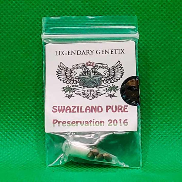 Lot #275 Snow High Swaziland Pure (Preservation 2016) [Reg] [5pk]