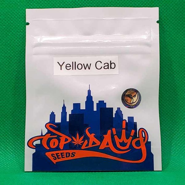 Lot #279 Top Dawg  Yellow Cab (GMO x 91 Chem BX2) [Reg] [11pk]