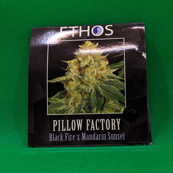 Lot #286 Ethos Pillow Factory (Black Fire x Mandarin Sunset) [Fem] [6pk]