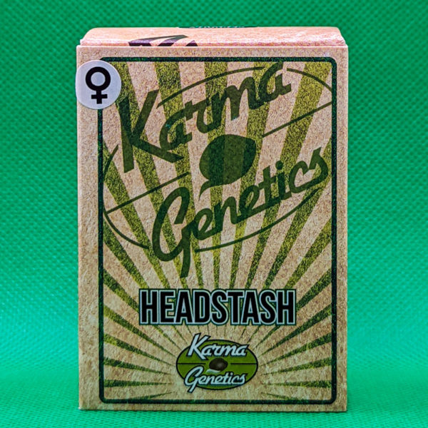 Lot #287 Karma Headstash (Girl Scout Cookies x Cherrie Pie x KarmaRado OG x Biker Kush) [Fem] [12pk]