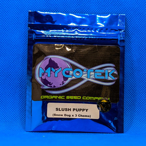 Lot #318 Mycotek Slush Puppy (Snow Dog X 3 Chems) [Reg] [10pk]