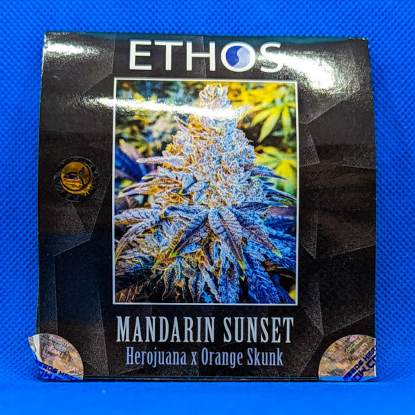 Lot #322 Ethos Mandarin Sunset (HEROJUANA x ORANGE SKUNK) [Fem] [6pk]
