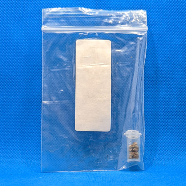 Lot #337 Duke Diamond 88 G13 Hashplant X “88 G13 Hashplant X Afghani” (88 G13 Hashplant x (88 G13 Hashplant x Afghani)) [Reg] [10pk] - Image 2