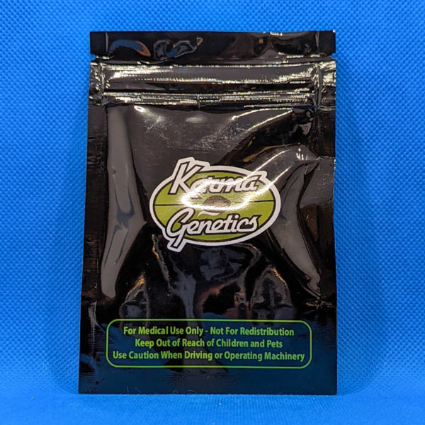 Lot #342 Karma Sweet Jack Haze ((Sweet Jack Haze x Jack #22) x White A5 Haze) [Reg] [12pk] - Image 2