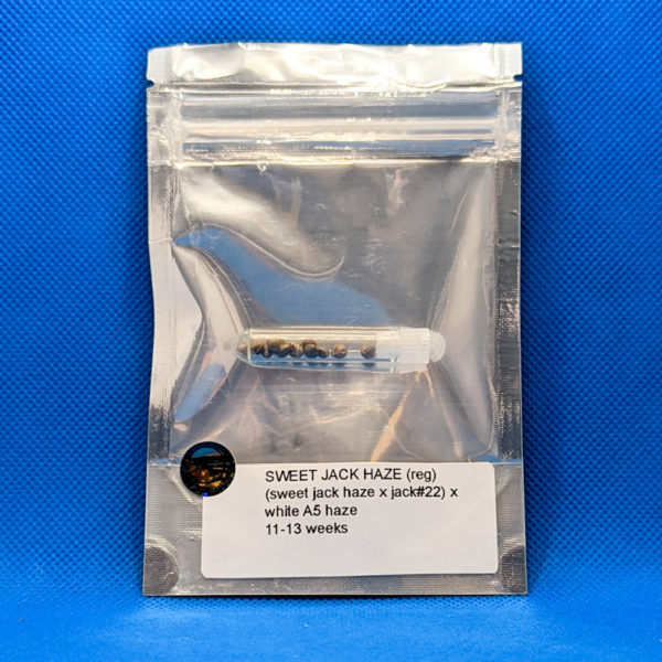 Lot #342 Karma Sweet Jack Haze ((Sweet Jack Haze x Jack #22) x White A5 Haze) [Reg] [12pk]