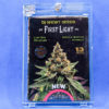 Lot #359 DJ Short FIRST LIGHT (HAPPY PUSSY F4 X F4 BLUEBERRY MALE) [Reg] [13pk]