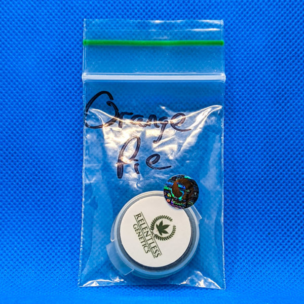 Lot #374 Relentless Orange Pie (Cherry Pie x Agent Orange) [Reg] [10pk]