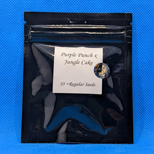Lot #376 Seed Junky Purple Punch x Jungle Cake [Reg] [10pk] - Image 2