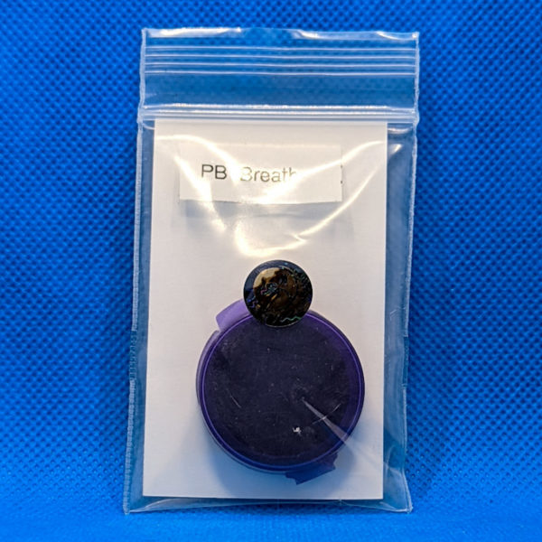 Lot #378 Thug Pug PB Breath (Dosidos x Mendobreath F2) [Reg] [10pk]