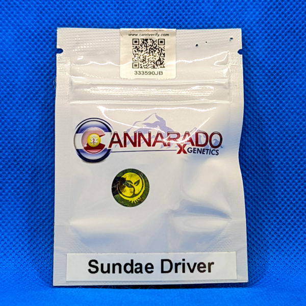 Lot #384 Cannarado Sundae Driver (FPOG x Grape Pie BX) [Reg] [10pk]
