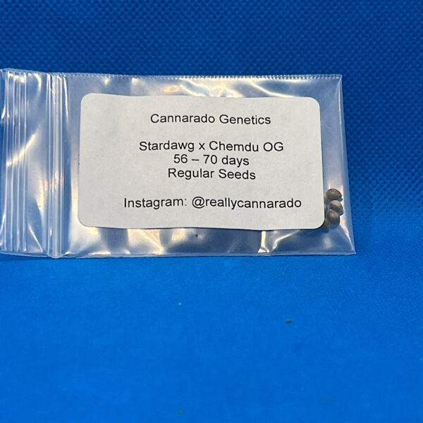 Lot #412 Cannarado (Strawdawg x Chemdu OG) [Reg] [6pk]