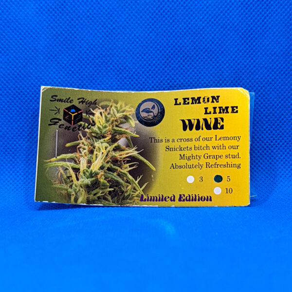 Lot #447 Smile High Genetics Lemon Lime Wind (Lemony Snickets x Mighty Grape) [5pk]