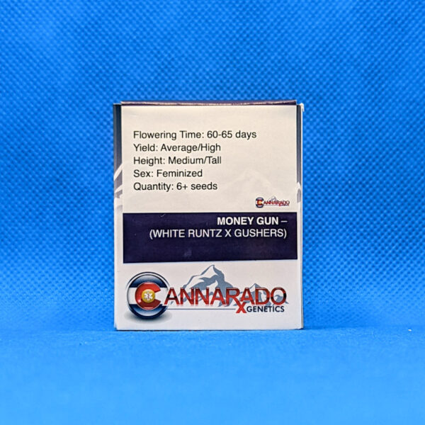 Lot #457 Cannarado Money Gun ((White Runtz x Gushers)) [Fem] [6pk] - Image 2