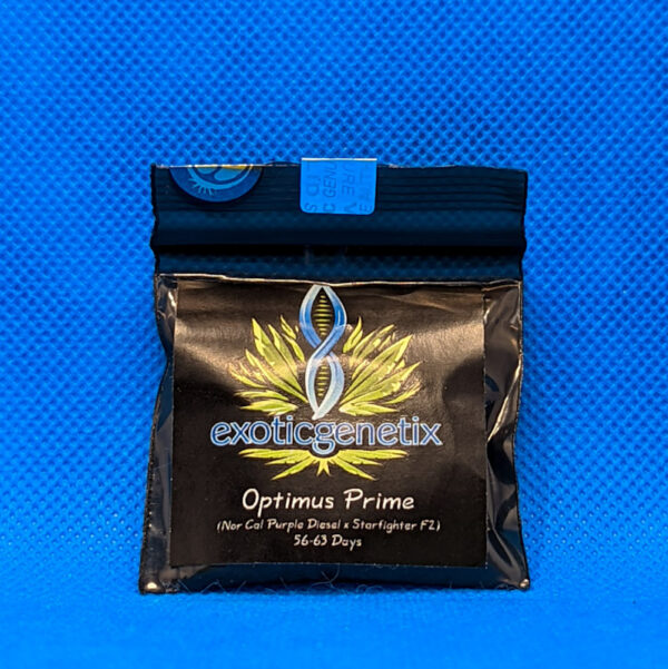 Lot #464 Exotic Optimus Prime (Nor Cal Purple Diesel x Starfighter F2) [Reg] [pk]