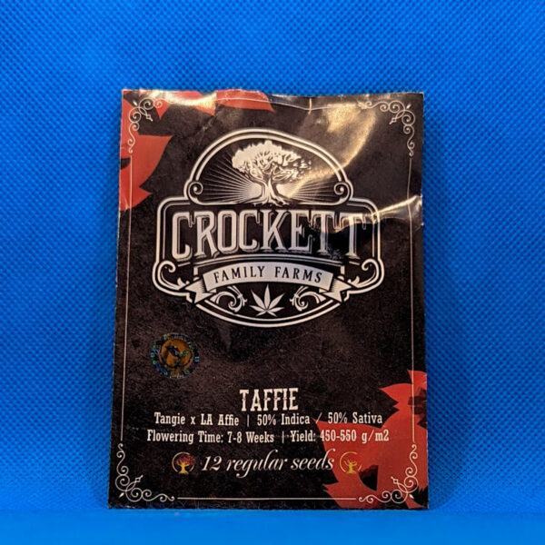Lot #482 Crockett Taffie (Tangie X LA Affie) [Reg] [12pk]