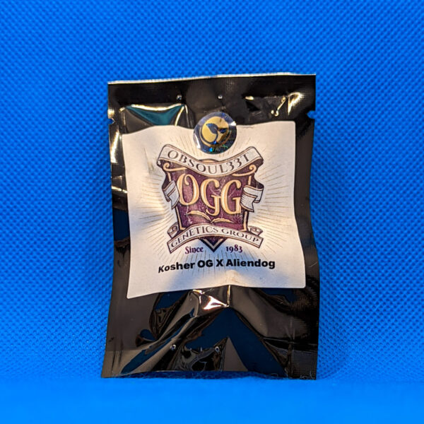 Lot #491 Obsoul33t  (Kosher OG x Aliendog F1) [Reg] [10pk]