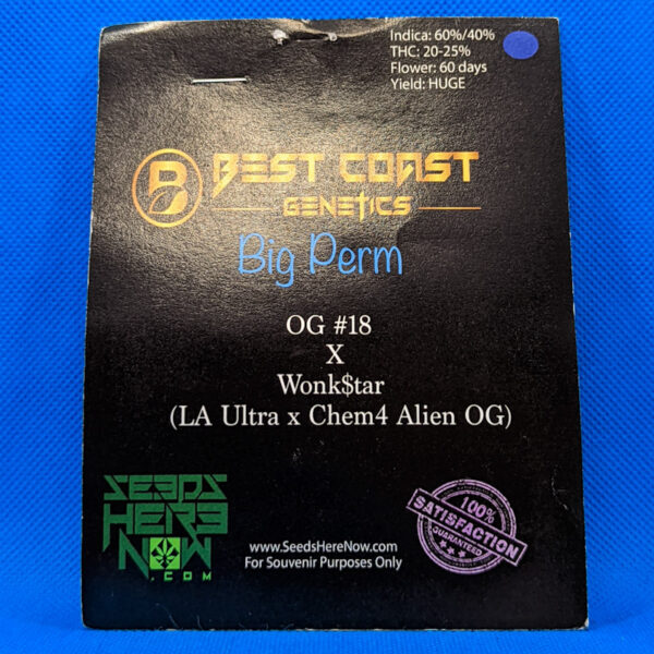 Lot #498 Best Coast Big Perm (OG 18 x Wonkstar (La Ultra x Chem 4 Alien OG)) [Reg] [5pk] - Image 2