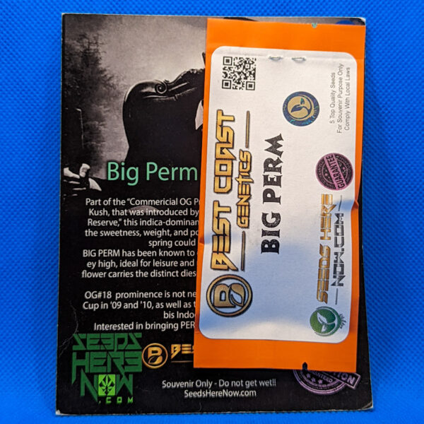 Lot #498 Best Coast Big Perm (OG 18 x Wonkstar (La Ultra x Chem 4 Alien OG)) [Reg] [5pk]