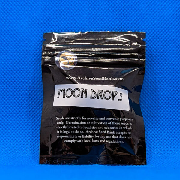 Lot #518 Archive Moon Drops (Purple Urkle x Dosidos) [Reg] [12pk]