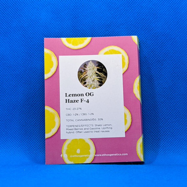 Lot #528 Ethos Lemon OG Haze F4 (Lemon OG Haze F-3 x Lemon OG Haze F-3) [Reg] [10pk] - Image 2