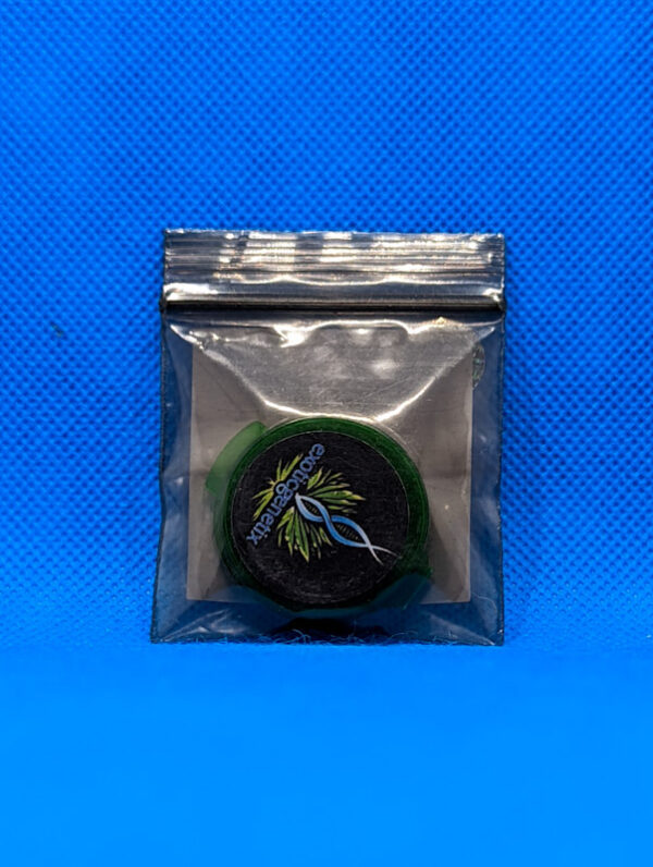 Lot #532 Exotic Lime Skunk (Lemon Skunk x Green Ribbon BX) [Reg] [pk] - Image 2