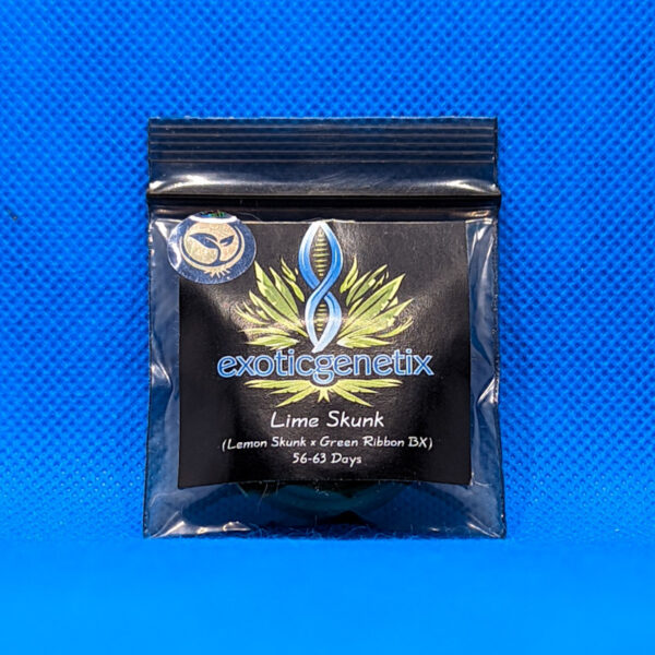 Lot #532 Exotic Lime Skunk (Lemon Skunk x Green Ribbon BX) [Reg] [pk]