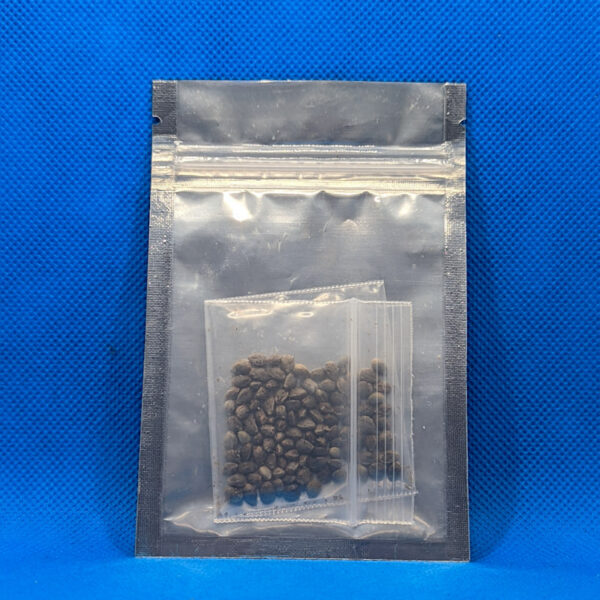 Lot #534 Greenlife Seeds The Boss () [Reg] [100pk] - Image 2
