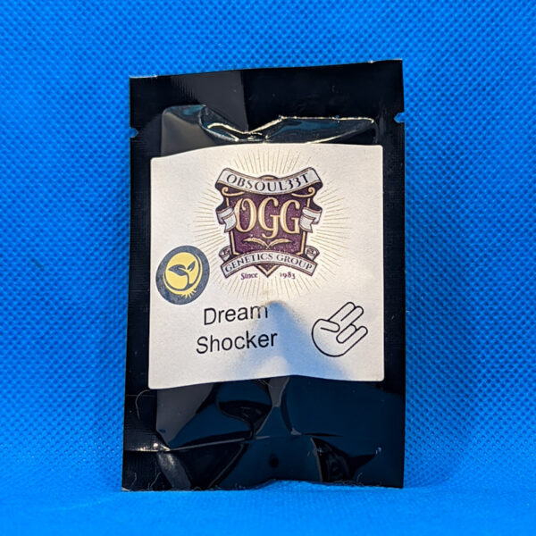 Lot #536 Obsoul33t Dream Shocker (Blue Dream X Shocker) [Reg] [10pk]
